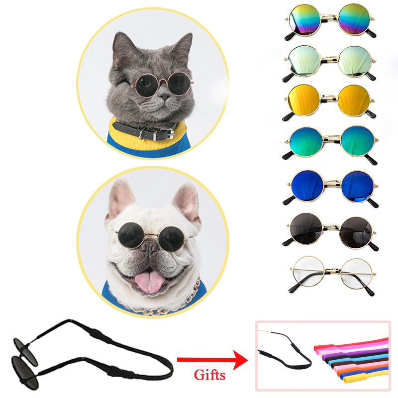 Colored Sunglasses For a Cat - sepolia shop