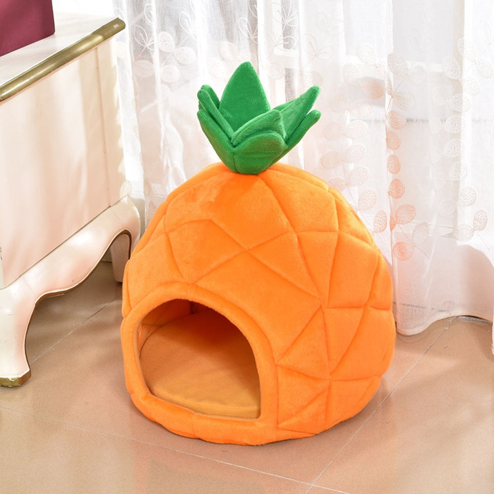 Pet Pineapple House