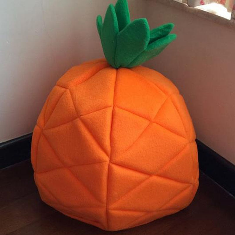 Pet Pineapple House