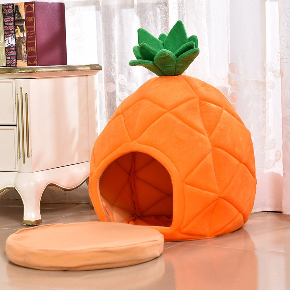 Pet Pineapple House