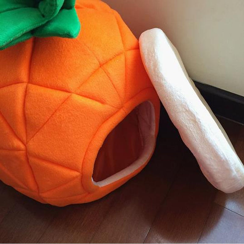Pet Pineapple House