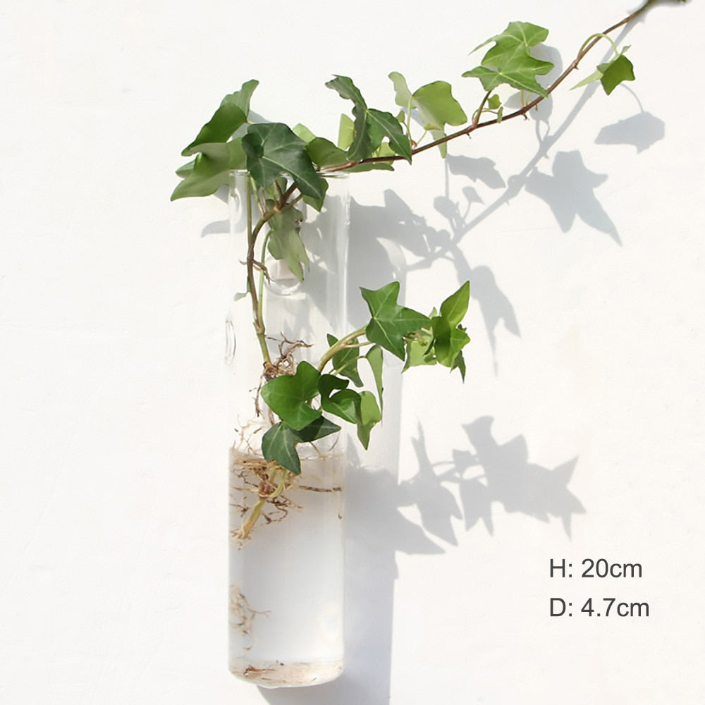 Fashion Wall Hanging Glass Flower Vase