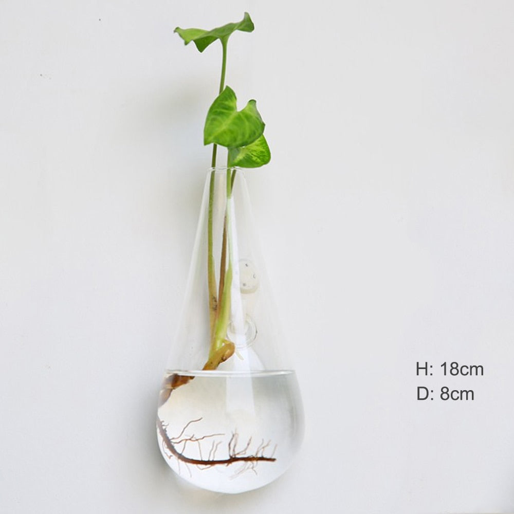 Fashion Wall Hanging Glass Flower Vase
