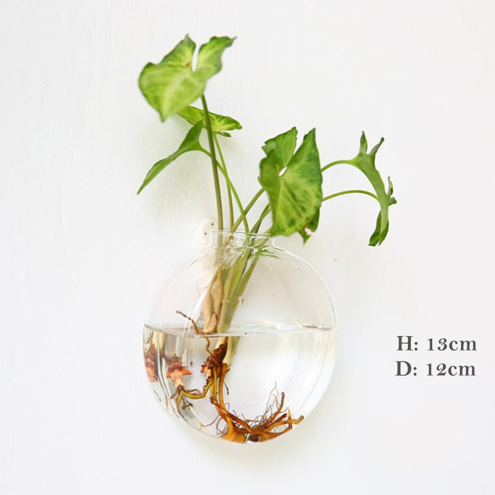 Fashion Wall Hanging Glass Flower Vase