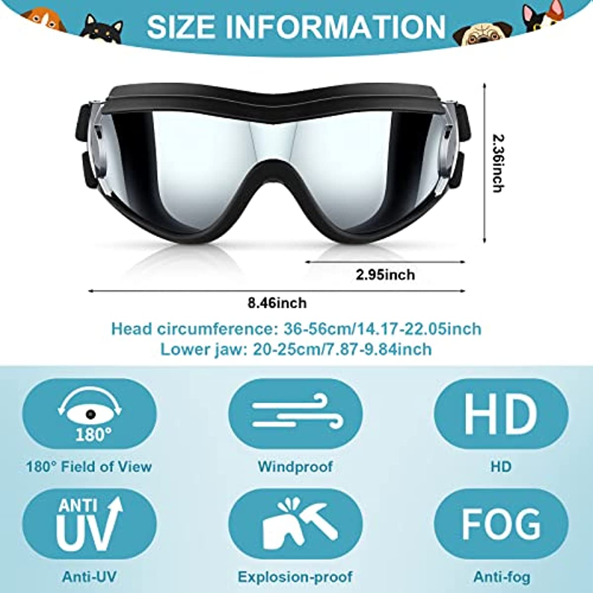 Dog Windproof Sunglasses & Helmet Set