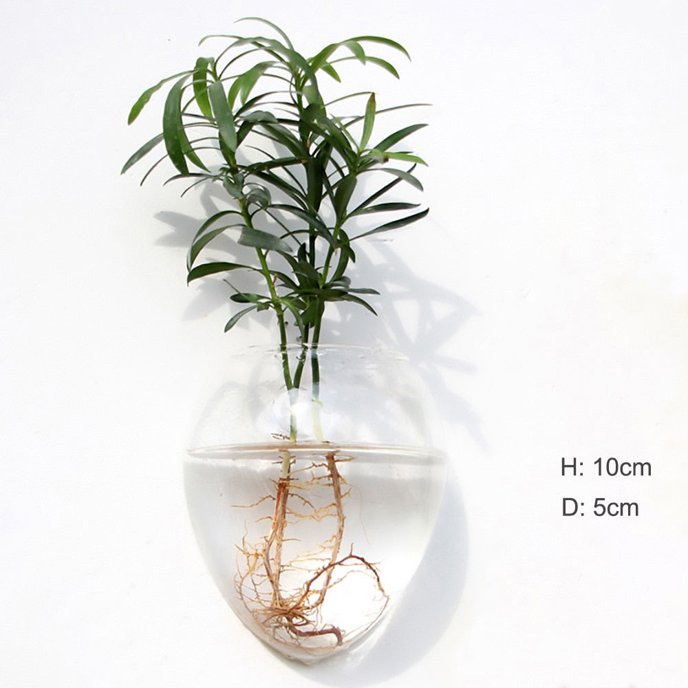 Fashion Wall Hanging Glass Flower Vase