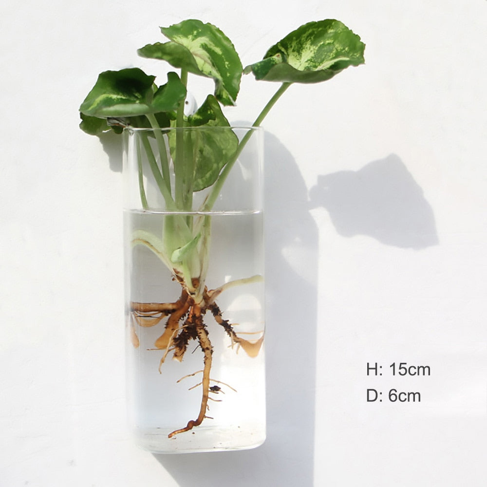 Fashion Wall Hanging Glass Flower Vase