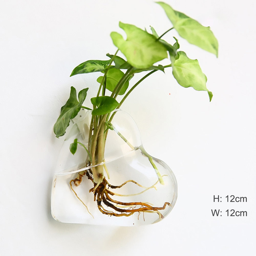 Fashion Wall Hanging Glass Flower Vase