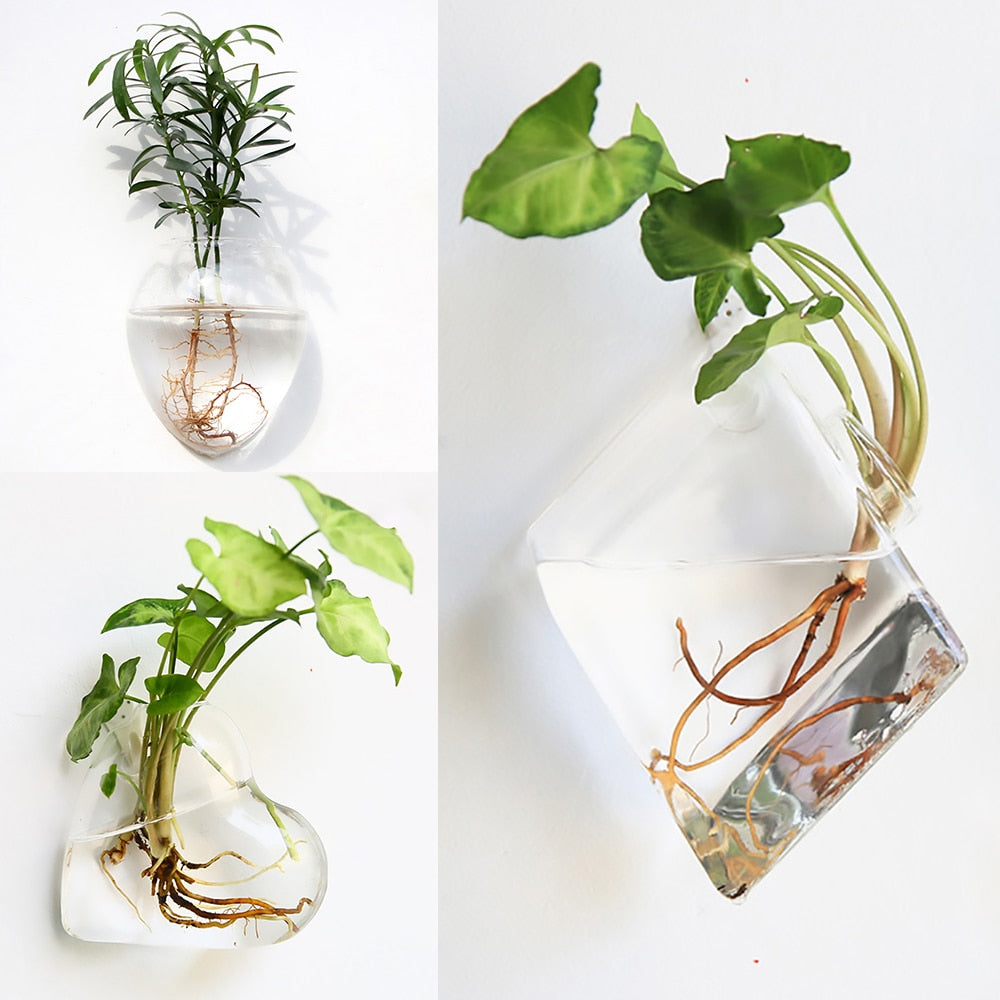 Fashion Wall Hanging Glass Flower Vase