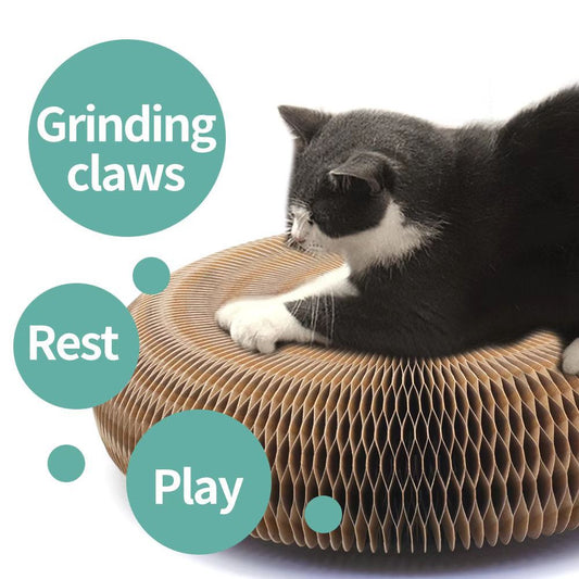 Magic Organ Cat scratching board - sepolia shop