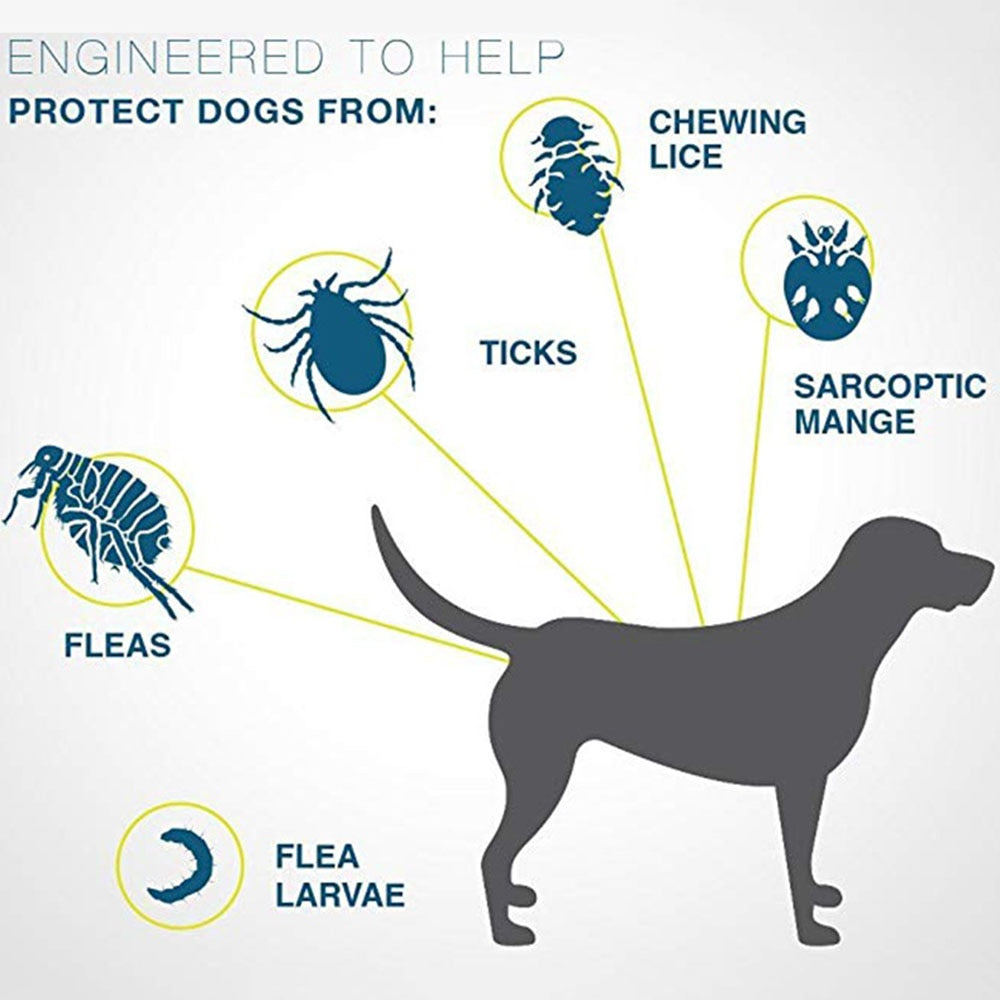 Pet Flea and Tick Collar for Dogs and Cats - sepolia shop