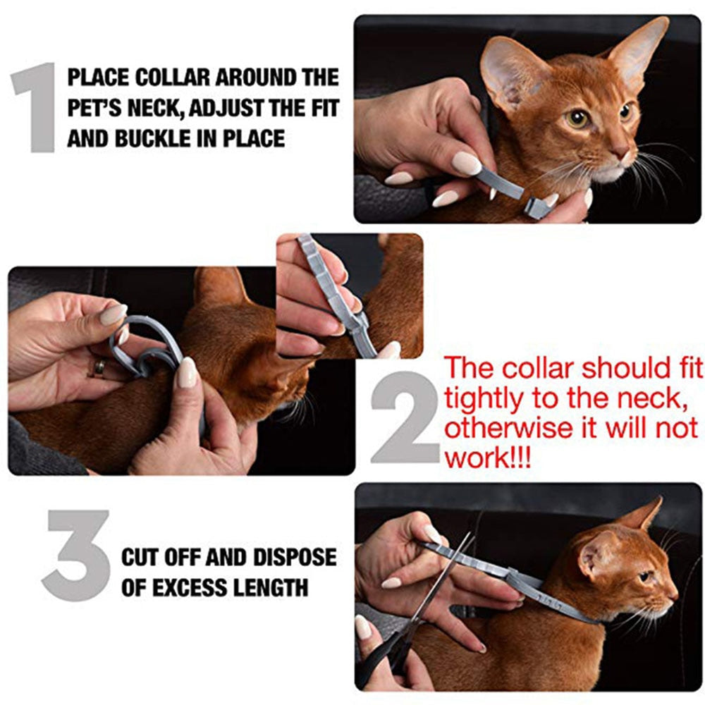 Pet Flea and Tick Collar for Dogs and Cats - sepolia shop