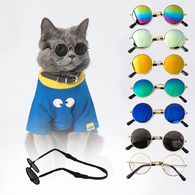 Colored Sunglasses For a Cat - sepolia shop