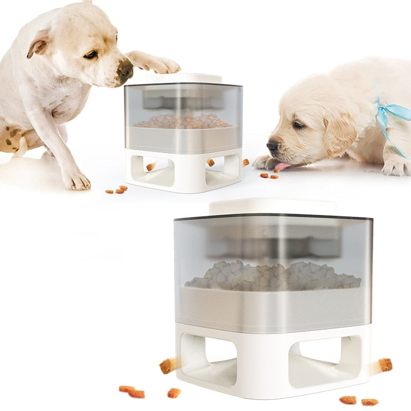 Pet Slow Feeder design Interactive For a Smarter Pet - sepolia shop