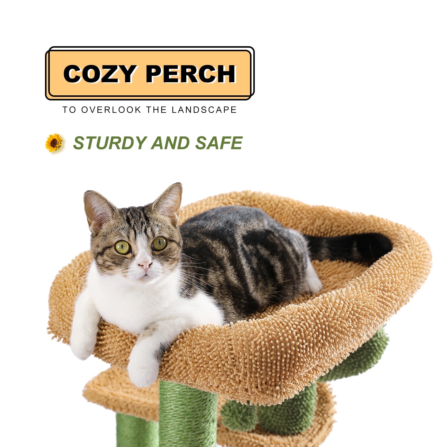 Cactus Cat Scratching Play house Tree - sepolia shop