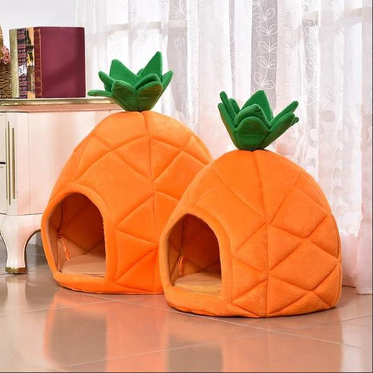 Pet Pineapple House