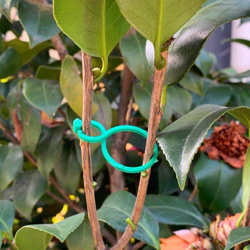 StemClip - Plant Twist Ties Support Clips - sepolia shop
