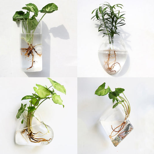 Fashion Wall Hanging Glass Flower Vase