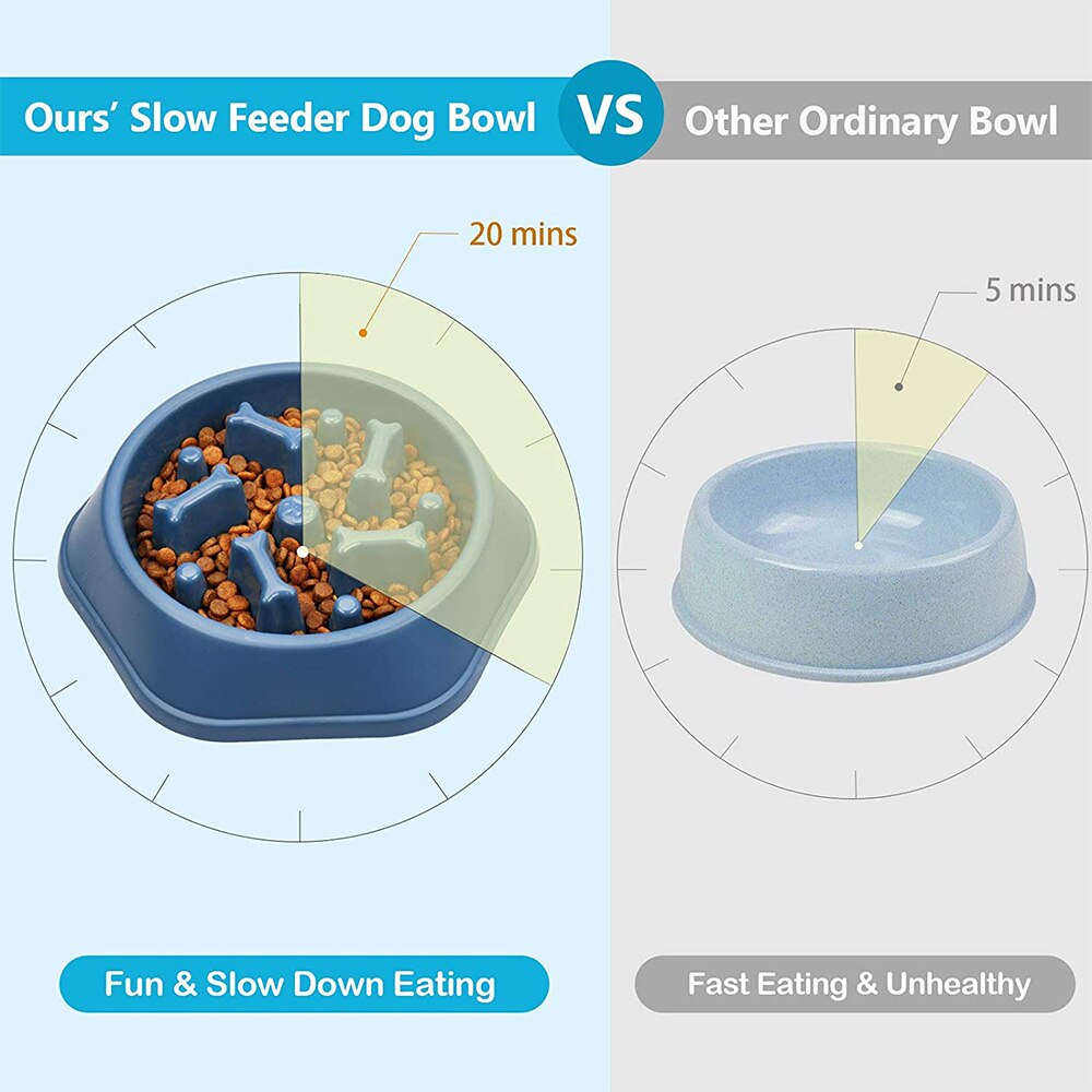 Pet Dog Bowl Slow Feeder - sepolia shop