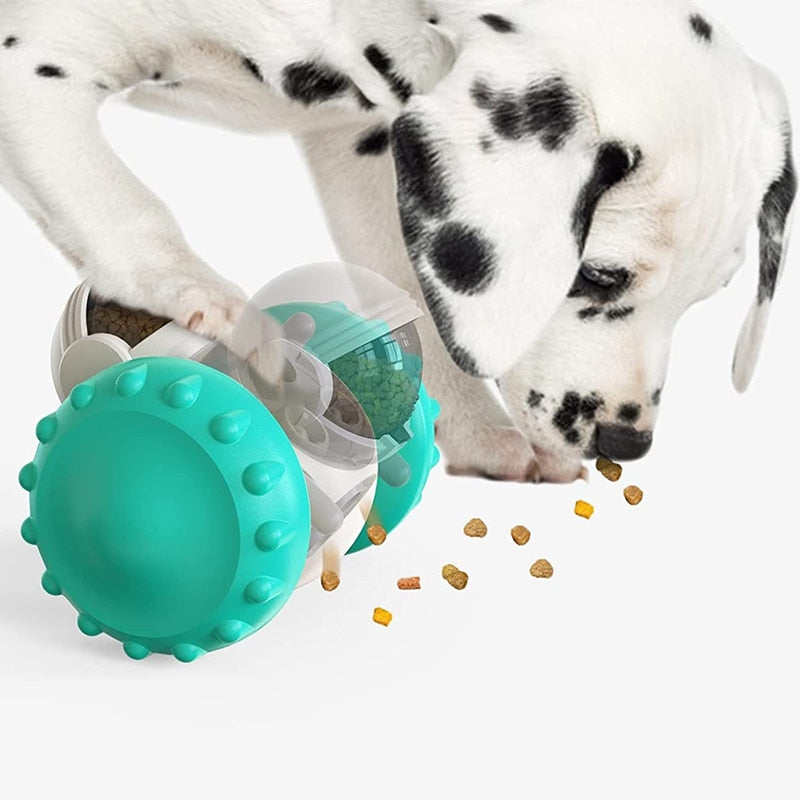 Slow Pet Feeder & Toy - sepolia shop