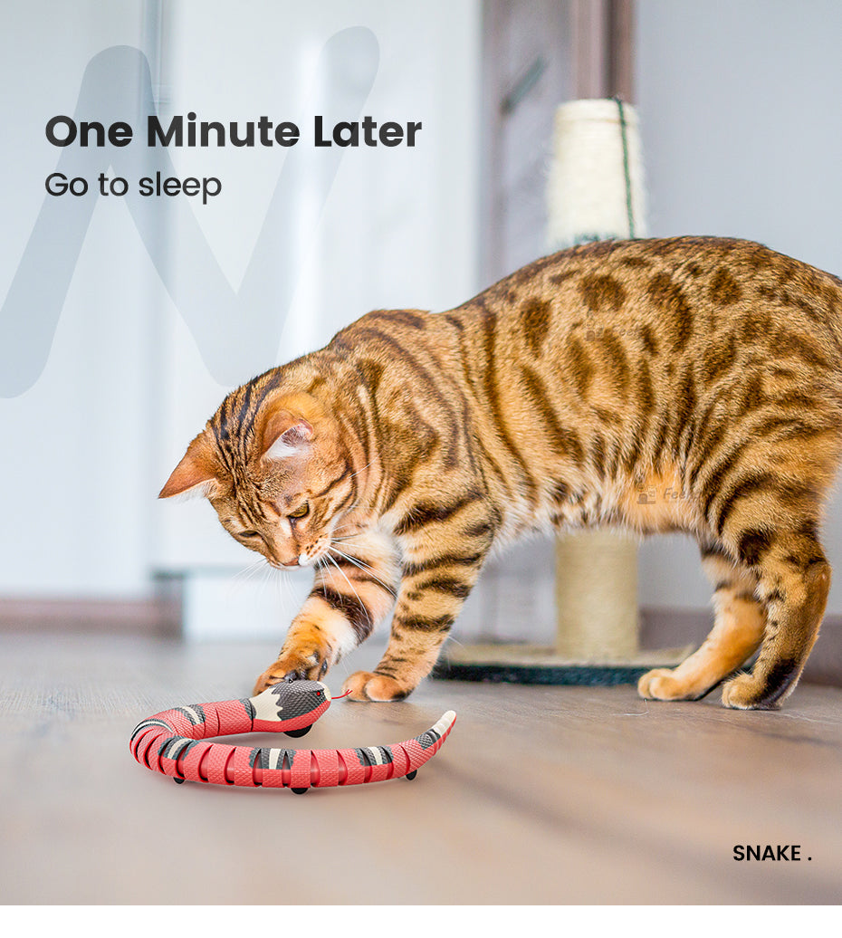 Smart Sensing Snake Toy For Cat's - sepolia shop