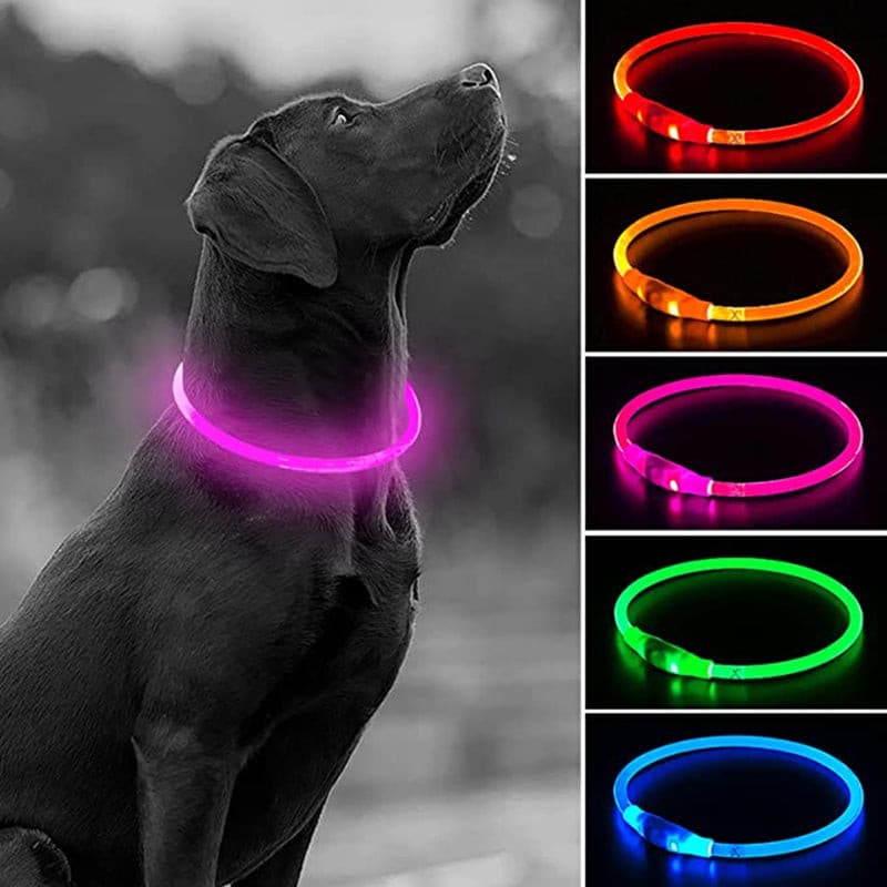 LED USB Dog Collar - sepolia shop